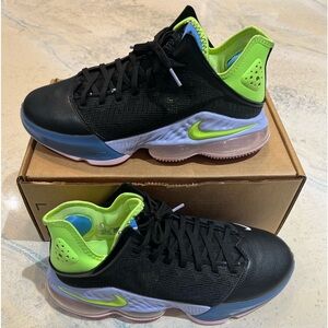 NIKE LEBRON XIX LOW/BLACK/GREEN/PURPLE PULSE DO9829-001 US 10